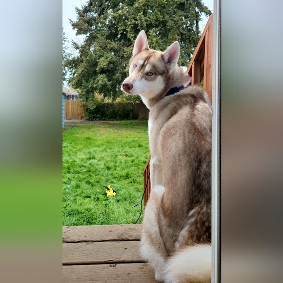 Meet your Posher, Jenna - Picture 7 of 11